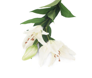 Artificial 87cm Single Stem White Oriental Lily - Closer2Nature
