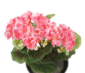 Artificial 24cm Pink Zonal Geranium Plug Plant - Closer2Nature