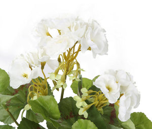 Artificial 24cm White Zonal Geranium Plug Plant - Closer2Nature