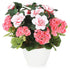 Artificial 32cm Pink Geranium and Azalea Display in a 15cm White Round Pot