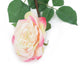 Artificial 92cm Single Stem Fully Open Cream and Pink Rose - Closer2Nature