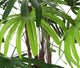 Artificial 3ft Lady Palm Tree - Closer2Nature