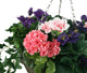 Artificial Purple Pansy, Pink Azalea and Geranium Display in a 12″ Cone Willow Hanging Basket - Closer2Nature