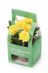 Artificial 18cm Yellow Chrysanthemum Plant with Gift Box