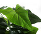 Artificial 4ft Calla Lily Plant - Closer2Nature