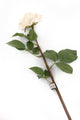 Artificial 92cm Single Stem Fully Open Ivory and Pink Tipped Rose - Closer2Nature