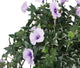 Artificial Purple Morning Glory Display in a 10″ Round Willow Hanging Basket - Closer2Nature