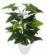 Artificial 4ft Calla Lily Plant