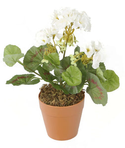 Artificial 24cm White Zonal Geranium Plug Plant - Closer2Nature