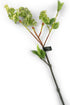 Artificial 76cm Single Stem Green Lilac Blossom