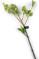Artificial 76cm Single Stem Green Lilac Blossom - Closer2Nature