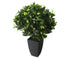 Artificial 2ft Danielle Weeping Fig Tree