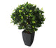 Artificial 2ft Danielle Weeping Fig Tree - Closer2Nature