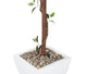 Artificial 3ft 5″ Danielle Weeping Fig Tree - Closer2Nature