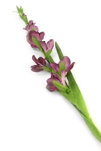 Artificial 122cm Single Stem Purple Gladiolus - Closer2Nature
