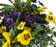 Artificial Purple and Yellow Pansy Display in a 12″ Cone Willow Hanging Basket - Closer2Nature