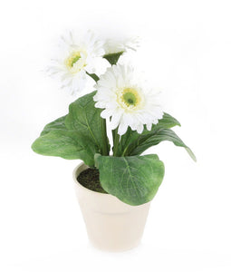 Artificial 1ft White Gerbera Plant - Closer2Nature