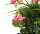 Artificial Pink Geranium Display in a 10″ Round Willow Hanging Basket - Closer2Nature
