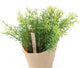 Artificial 17cm Dill Herb Plant - Closer2Nature