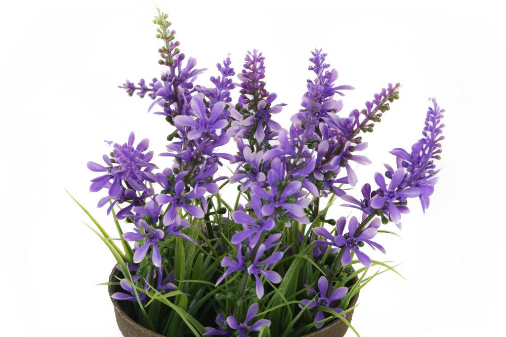 Artificial 18cm Purple Bellflower Plant with Gift Box | Closer2Nature