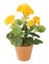 Artificial 24cm Yellow Zonal Geranium Plug Plant
