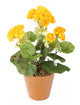 Artificial 24cm Yellow Zonal Geranium Plug Plant - Closer2Nature