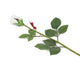 Artificial 60cm Single Stem Closed Bud Ivory Rose - Closer2Nature