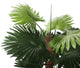 Artificial 4ft Windmill Fan Palm Tree - Closer2Nature