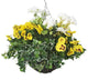 Artificial Yellow Pansy and White Geranium Display in a 12″ Round Willow Hanging Basket - Closer2Nature