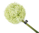 Artificial 89cm Single Stem Green Allium - Closer2Nature
