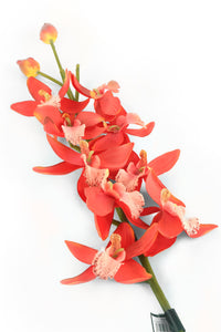 Artificial 84cm Single Stem Coral Red Cymbidium Orchid - Closer2Nature