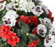 Artificial Red Azalea, White Pansy and Geranium Display in a 12″ Cone Willow Hanging Basket - Closer2Nature