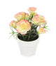 Artificial 15cm Mixed Carnation Plants with Gift Box Collection - Closer2Nature