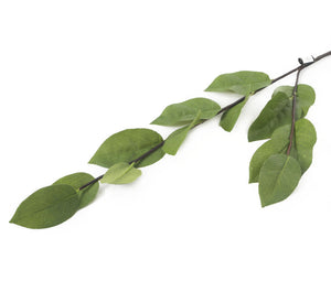 Artificial 80cm Single Stem Elder Leaf Spray - Closer2Nature
