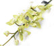 Artificial 84cm Single Stem Green Cymbidium Orchid - Closer2Nature