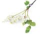 Artificial 76cm Single Stem White Lilac Blossom - Closer2Nature