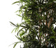 Artificial 6ft Golden Bamboo Tree - Closer2Nature