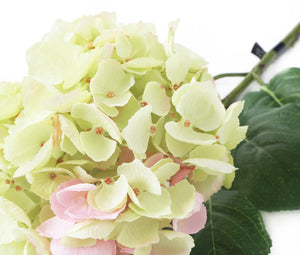 Artificial 87cm Single Stem Green and Pink Mophead Hydrangea - Closer2Nature