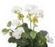 Artificial 38cm White Zonal Geranium Plug Plant - Closer2Nature