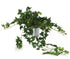 Artificial 57cm Green Ivy Plug Plant