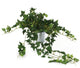 Artificial 57cm Green Ivy Plug Plant - Closer2Nature
