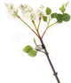 Artificial 76cm Single Stem White Lilac Blossom - Closer2Nature