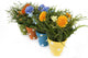 Artificial 27cm Mixed Chrysanthemum Plant Display Collection - Closer2Nature