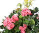 Artificial Pink and White Azalea and Geranium Display in a 12″ Cone Willow Hanging Basket - Closer2Nature