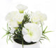 Artificial 15cm White Carnation Plant with Gift Box - Closer2Nature