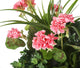 Artificial Pink Geranium Display in a 10″ Round Willow Hanging Basket - Closer2Nature