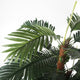 Artificial 5ft Areca Palm Tree - Closer2Nature