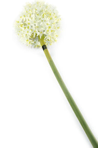 Artificial 89cm Single Stem White Allium - Closer2Nature