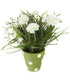Artificial 27cm White Chrysanthemum Plant Display