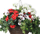 Artificial Red and White Azalea, Pansy and Geranium Display in a 14″ Round Willow Hanging Basket - Closer2Nature